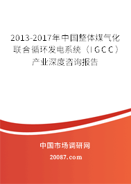 2013-2017年中国整体煤气化联合循环发电系统（IGCC）产业深度咨询报告