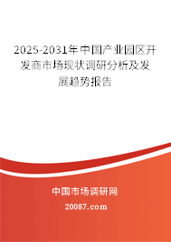 2025-2031年中国产业园区开发商市场现状调研分析及发展趋势报告