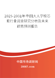 2025-2031年中国大人字梭芯套行业调查研究分析及未来趋势预测报告