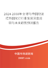 2024-2030年全球与中国短波红外固化灯行业发展深度调研与未来趋势预测报告
