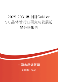 2025-2031年中国GaN on SiC晶体管行业研究与发展前景分析报告