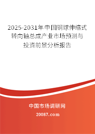 2025-2031年中国钢球伸缩式转向轴总成产业市场预测与投资前景分析报告 2025-2031年中国钢球伸缩式转向轴总成产业市场预测与投资前景分析报告