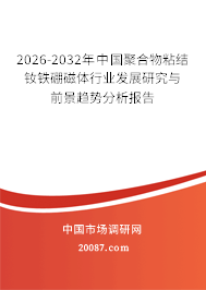 2026-2032年中国聚合物粘结钕铁硼磁体行业发展研究与前景趋势分析报告