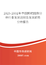 2025-2031年中国颗粒图像分析行业发展调研及发展趋势分析报告 2025-2031年中国颗粒图像分析行业发展调研及发展趋势分析报告