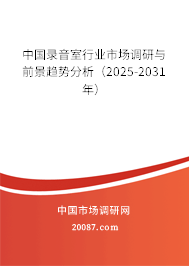 中国录音室行业市场调研与前景趋势分析（2025-2031年）