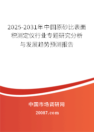2025-2031年中国原砂比表面积测定仪行业专题研究分析与发展趋势预测报告