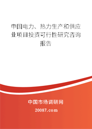 中国电力、热力生产和供应业项目投资可行性研究咨询报告