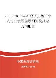 2009-2012年新经济形势下小麦行业发展前景预测及战略咨询报告 2009-2012年新经济形势下小麦行业发展前景预测及战略咨询报告