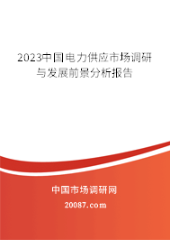 2023中国电力供应市场调研与发展前景分析报告 2023中国电力供应市场调研与发展前景分析报告
