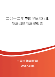 二〇一二年中国溶解浆行业发展回顾与展望报告