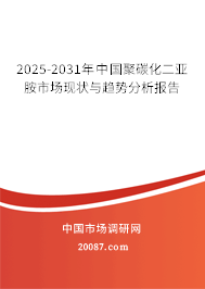 2025-2031年中国聚碳化二亚胺市场现状与趋势分析报告
