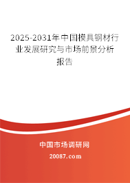 2025-2031年中国模具钢材行业发展研究与市场前景分析报告 2025-2031年中国模具钢材行业发展研究与市场前景分析报告