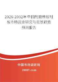 2026-2032年中国耐磨橡胶衬板市场调查研究与前景趋势预测报告