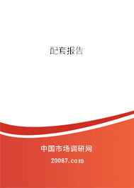 配套报告