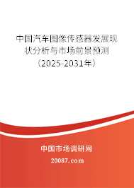 中国汽车图像传感器发展现状分析与市场前景预测（2025-2031年）