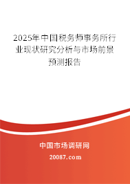 2025年中国税务师事务所行业现状研究分析与市场前景预测报告
