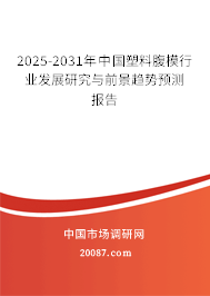 2025-2031年中国塑料腹模行业发展研究与前景趋势预测报告
