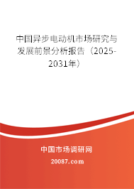 中国异步电动机市场研究与发展前景分析报告（2025-2031年）