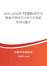 2025-2031年中国阴阳离子交换器市场研究分析与前景趋势预测报告 2025-2031年中国阴阳离子交换器市场研究分析与前景趋势预测报告
