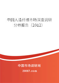 中国人造纤维市场深度调研分析报告(2012) 中国人造纤维市场深度调研分析报告(2012)