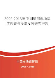 2009-2013年中国磁钢市场深度调查与投资发展研究报告