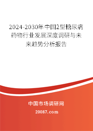 2024-2030年中国2型糖尿病药物行业发展深度调研与未来趋势分析报告
