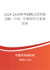 2024-2030年中国被动红外探测器（PIR）市场研究与发展前景