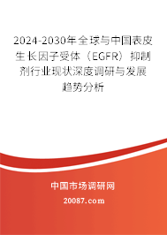 2024-2030年全球与中国表皮生长因子受体(EGFR)抑制剂行业现状深度调研与发展趋势分析 2024-2030年全球与中国表皮生长因子受体(EGFR)抑制剂行业现状深度调研与发展趋势分析