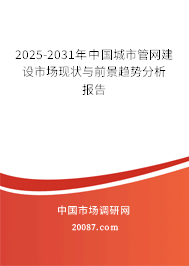 2025-2031年中国城市管网建设市场现状与前景趋势分析报告