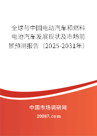 全球与中国电动汽车和燃料电池汽车发展现状及市场前景预测报告（2025-2031年）