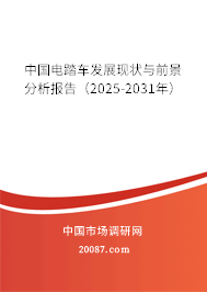 中国电踏车发展现状与前景分析报告(2025-2031年) 中国电踏车发展现状与前景分析报告(2025-2031年)