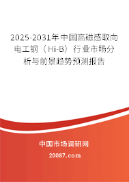 2025-2031年中国高磁感取向电工钢（Hi-B）行业市场分析与前景趋势预测报告
