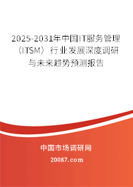 2025-2031年中国IT服务管理（ITSM）行业发展深度调研与未来趋势预测报告