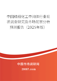中国精细化工中间体行业现状调查研究及市场前景分析预测报告（2025年版）