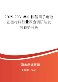 2025-2031年中国锂离子电池正极材料行业深度调研与发展趋势分析 2025-2031年中国锂离子电池正极材料行业深度调研与发展趋势分析