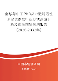 全球与中国PKB/Akt激酶活性测定试剂盒行业现状调研分析及市场前景预测报告（2026-2032年）
