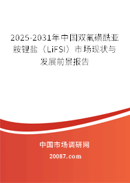 2025-2031年中国双氟磺酰亚胺锂盐（LiFSI）市场现状与发展前景报告