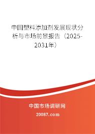 中国塑料添加剂发展现状分析与市场前景报告(2024-2030年) 中国塑料添加剂发展现状分析与市场前景报告(2024-2030年)