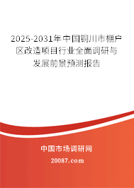 2025-2031年中国铜川市棚户区改造项目行业全面调研与发展前景预测报告
