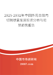 2025-2031年中国外周血管内切割球囊发展现状分析与前景趋势报告