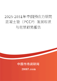 2025-2031年中国预应力钢筒混凝土管（PCCP）发展现状与前景趋势报告