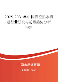 2025-2031年中国真空热水机组行业研究与前景趋势分析报告