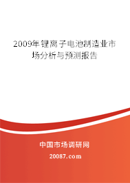 2009年锂离子电池制造业市场分析与预测报告