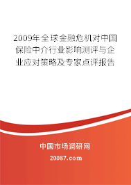 2009年全球金融危机对中国保险中介行业影响测评与企业应对策略及专家点评报告