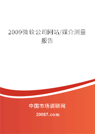 2009微软公司网站/媒介测量报告