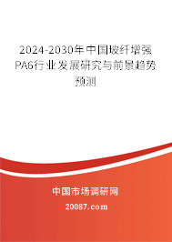2024-2030年中国玻纤增强PA6行业发展研究与前景趋势预测 2024-2030年中国玻纤增强PA6行业发展研究与前景趋势预测