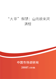 “大非”解禁:山雨欲来风满楼 “大非”解禁:山雨欲来风满楼