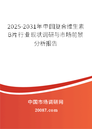 2025-2031年中国复合维生素B片行业现状调研与市场前景分析报告