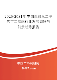 2025-2031年中国聚对苯二甲酸丁二醇酯行业发展调研与前景趋势报告