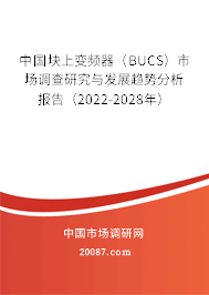中国块上变频器（BUCS）市场调查研究与发展趋势分析报告（2022-2028年）